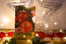 Karte Weihnachten KA0187