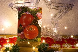 Karte Weihnachten KA0187