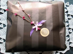Geschenkverpackung 00006 Standard